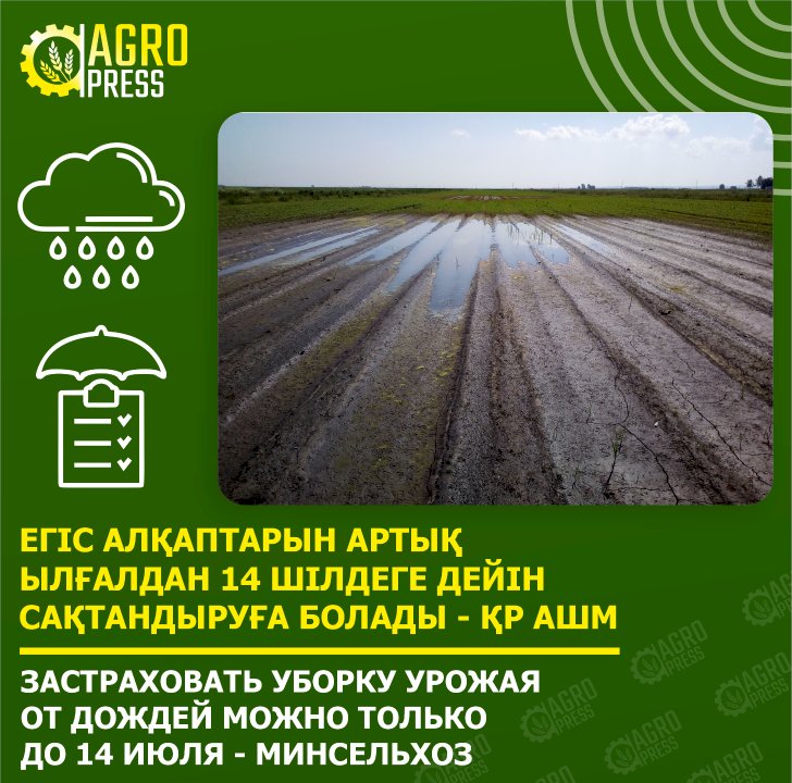 Егіс алқаптарын артық ылғалдан 14 шілдеге дейін сақтандыруға болады - ҚР АШМ