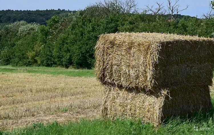 Қазақстанда шөп шабу науқанына 43 мың тоннадан астам жеңілдетілген жанар-жағар май бөлінеді