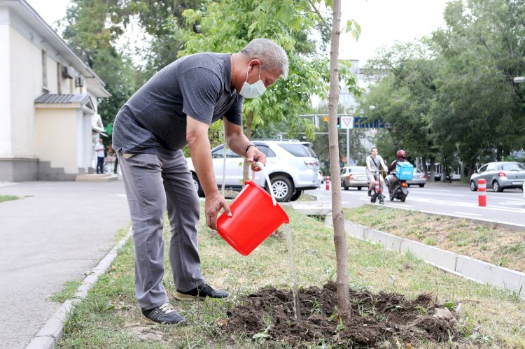 «Алатау Ақпарат» журналистерінің бастамасы қарқын алуда