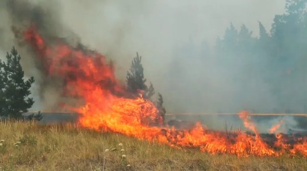 Тарбағатайда 28 тонна шөптің күлі көкке ұшты