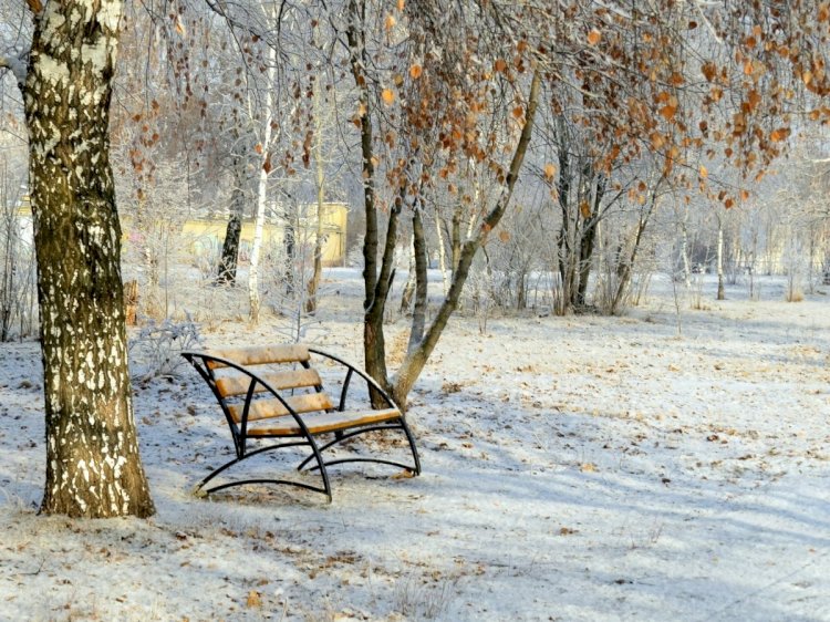 Бейсенбі күнгі ауа райы болжамы