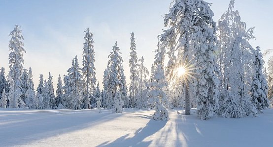 Ауа райы ашық болады