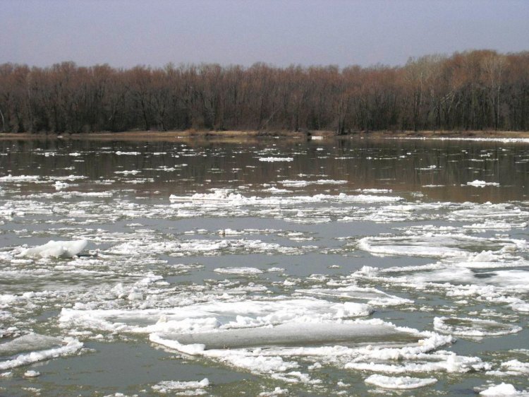 Қазақстандық экологтар көктемгі су тасқыны кезеңіне дайындалып жатыр