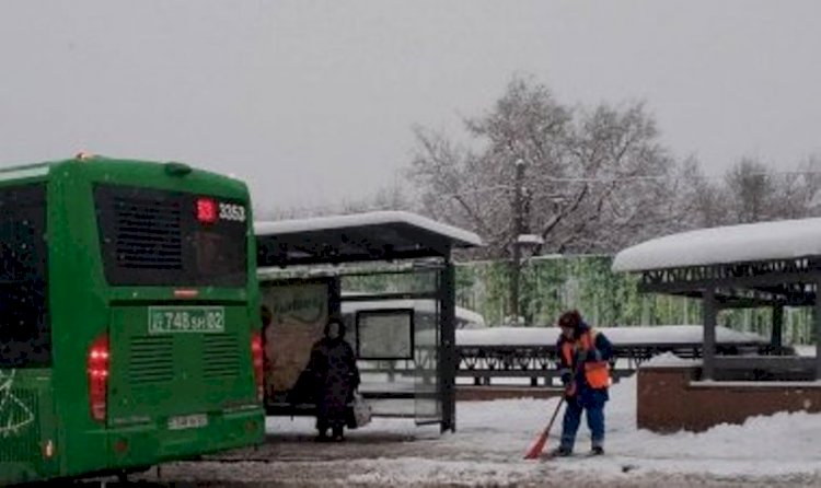 Алматыда көріктендіру қызметтерінің жұмысы қарқынды жүруде