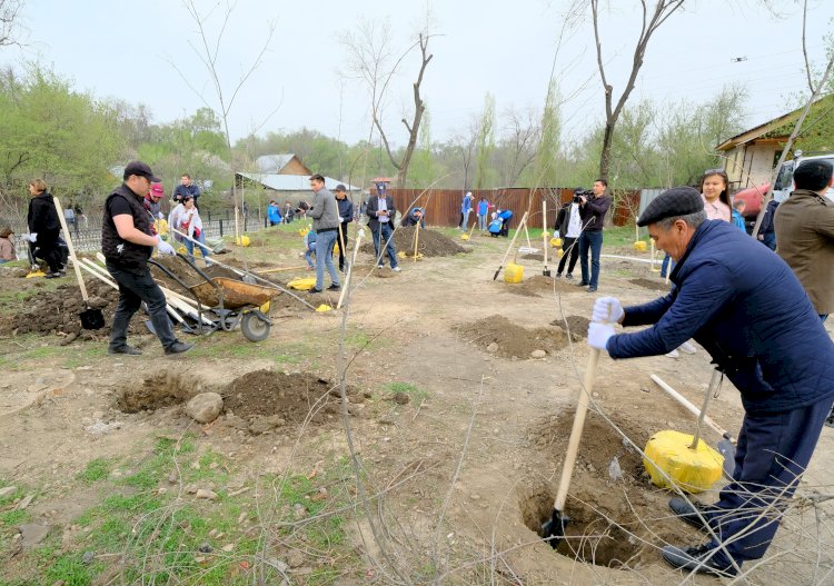 Алматыда жалпықалалық сенбілік өтті