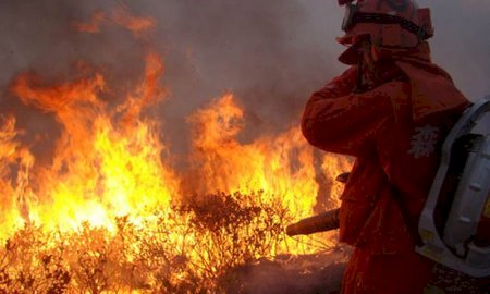 Былтыр ел аумағында өртке байланысты 12 мыңнан астам оқыс жағдай тіркелді