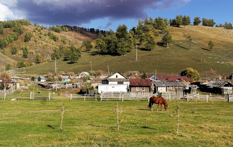 Халықты ауылда қалдыру жолдары қарастырылады