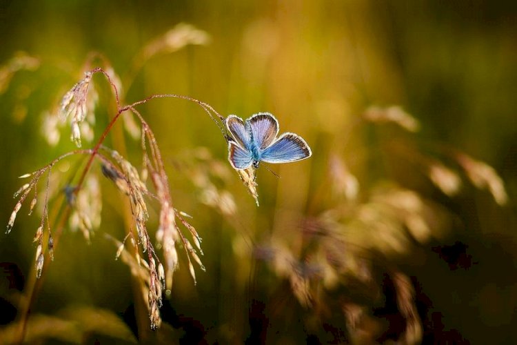 Синоптиктер Қазақстанның 11 өңірінде ескерту жарияланды