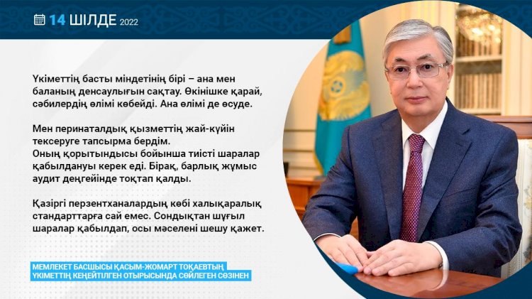 Мемлекет басшысы перинаталдық қызметтің жай-күйін тексеруге тапсырма берді