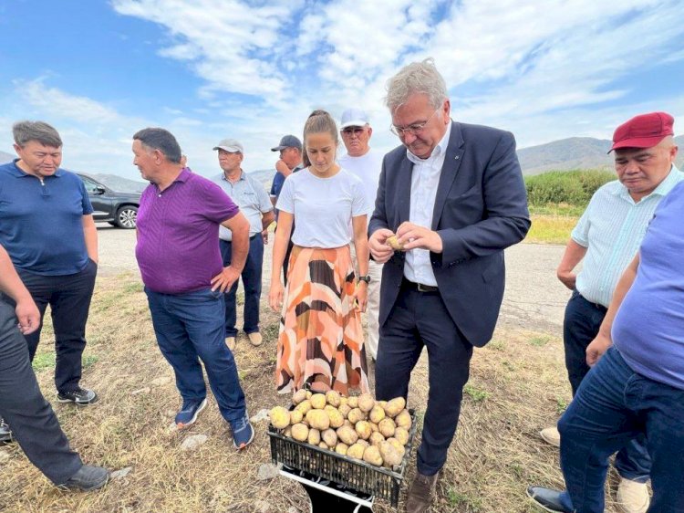 Жетісуда  фри картобын өндіретін жаңа кәсіпорын салынуы мүмкін