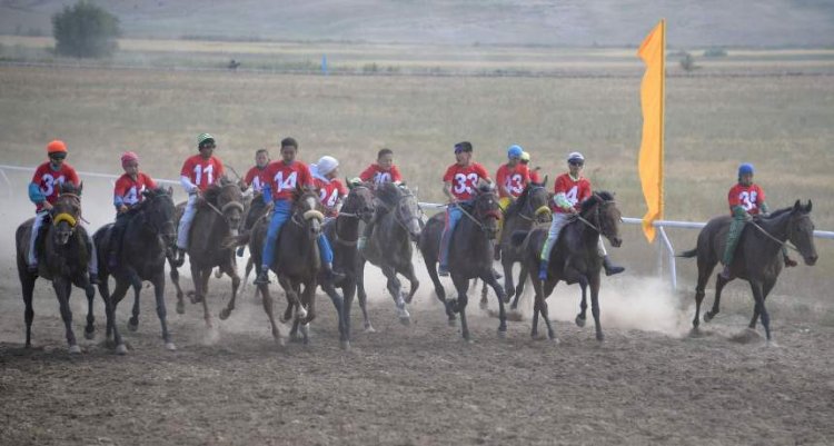 Жетісу облысында аламан бәйге жеңімпазы автокөлік мінді