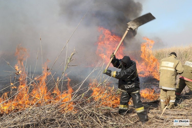 Қазақстанның 5 өңірінде өрт болды