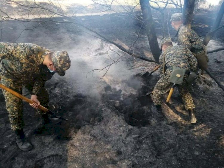 Әулиекөлде тілсіз жаумен күрес әлі жалғасып жатыр