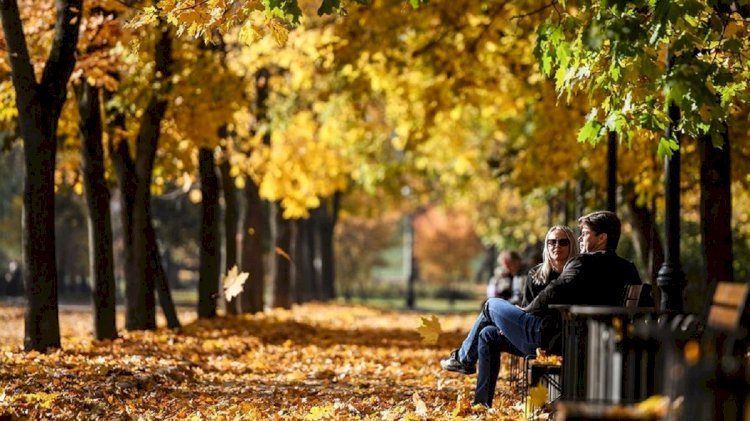 Ертеңгі күннің ауа райы мәліметі