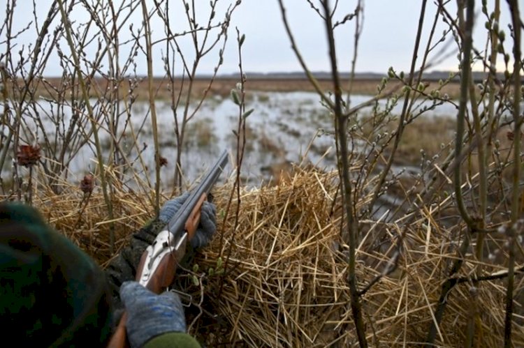 Ерекше қорғаудағы аумақтардан аң аулауға тыйым салынды