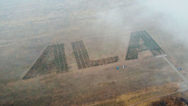 Алматыда әуеден ерекше көрінетін бақ пайда болды