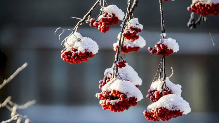 Қазақстанның басым бөлігінде аяз болады