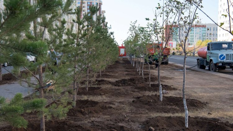 Алматы қаласының жасыл желектерін күтіп-ұстау және қорғау қағидасы