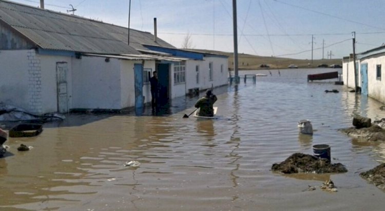 ТЖМ су тасқынының туындау себептерін атады