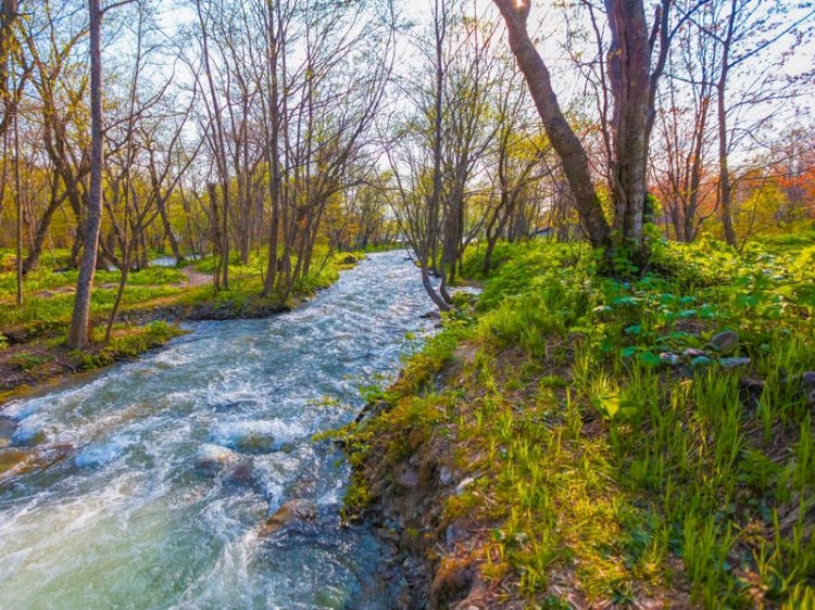 Сананы сауықтырсын сәуір басы «Отамалы» жүріп жатыр