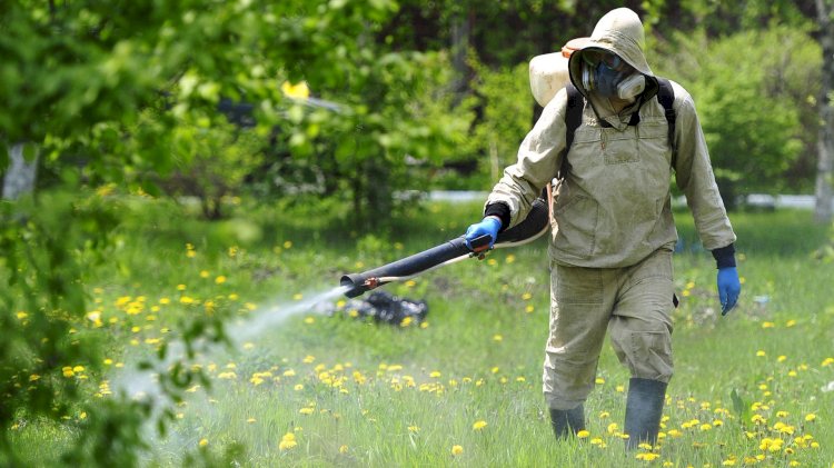 Дезинфекцияны өздігінен жүргізуге болмайды