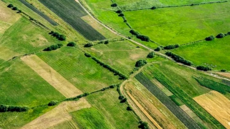 Алматыда  173 жер учаскесі тәркіленді