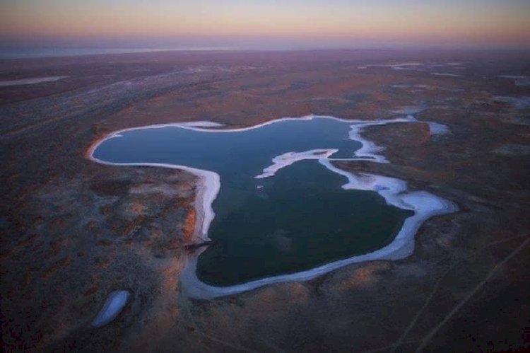 Халықаралық Аралды қорғау қорын қолдауға көбірек қаржы бөлу керек