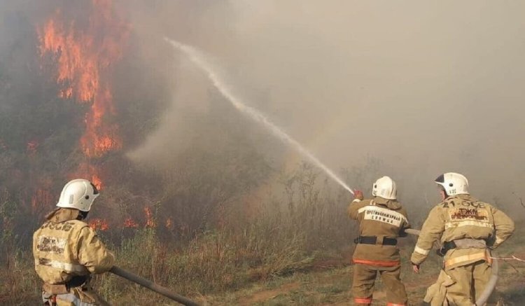 Абай облысында орман өртінен 3 адам қаза тапты