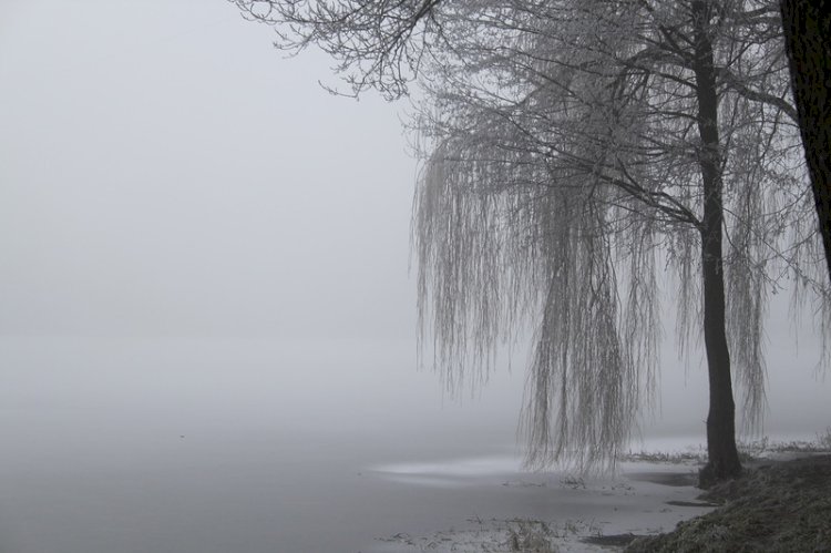 Жексенбіде республиканың барлық өңірінде тұман түсіп, жел күшейеді