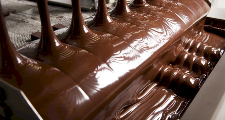 Дүниежүзі 2040 жылы шоколадсыз қалуы мүмкін
