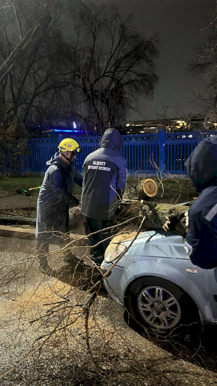 Алматыда ауа райының күрт бұзылуының салдары жойылды