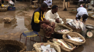 Әлемнің бірқатар елінде азық-түлік тапшылығы болуы мүмкін