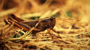 «Бұрын-соңды болмаған»