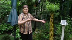 Ауласы ғажап азамат