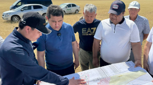 Шегірткеге қарсы күрес шараларына 2,5 мыңнан астам адам жұмылдырылды