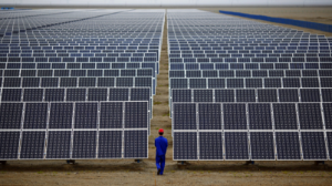 Табиғатты аяласаң ол сені есепсіз байлыққа кенелтеді