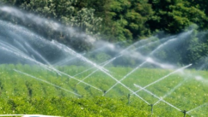 Елімізде суару маусымы басталғалы шаруаларға 2 млрд текше метр су берілді