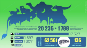 Құрбандыққа қанша мал шалынды?