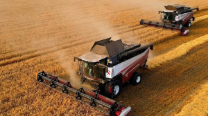 Қазақстандық фермерлер биыл 114,7 млрд теңгеге мемлекеттік қолдау алды