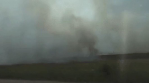 Алматы маңында шөп өртеніп жатыр