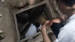 Қазақстанның Өзбекстанмен шекарасында құпия жол анықталды