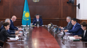 Ауылды жерлерде медициналық нысандардың салыну барысы қалай?