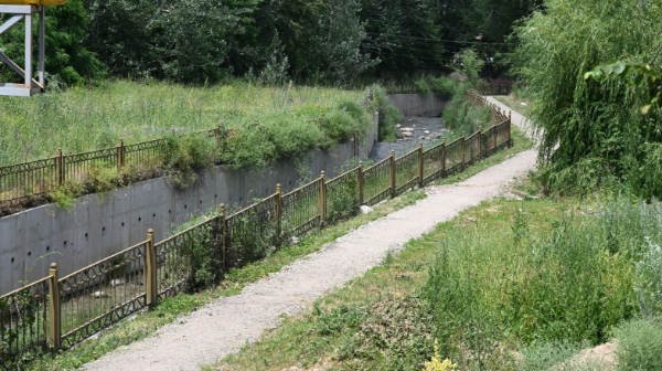 Алматыда Қарғалы өзенінің жағалауы абаттандырылады