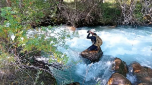 Селфи жасаймын деп ажал құшты