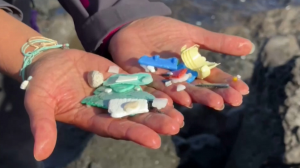 Пасха аралына пластиктен қауіп төніп тұр