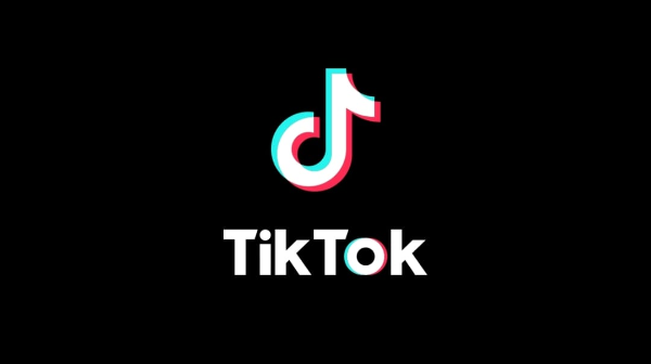 11 баланың анасы TikTok видеосы үшін сотталды