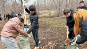 «Таза Қазақстан»: 500-ден астам комьюнити орталық резиденттері қалалық сенбілікке шықты