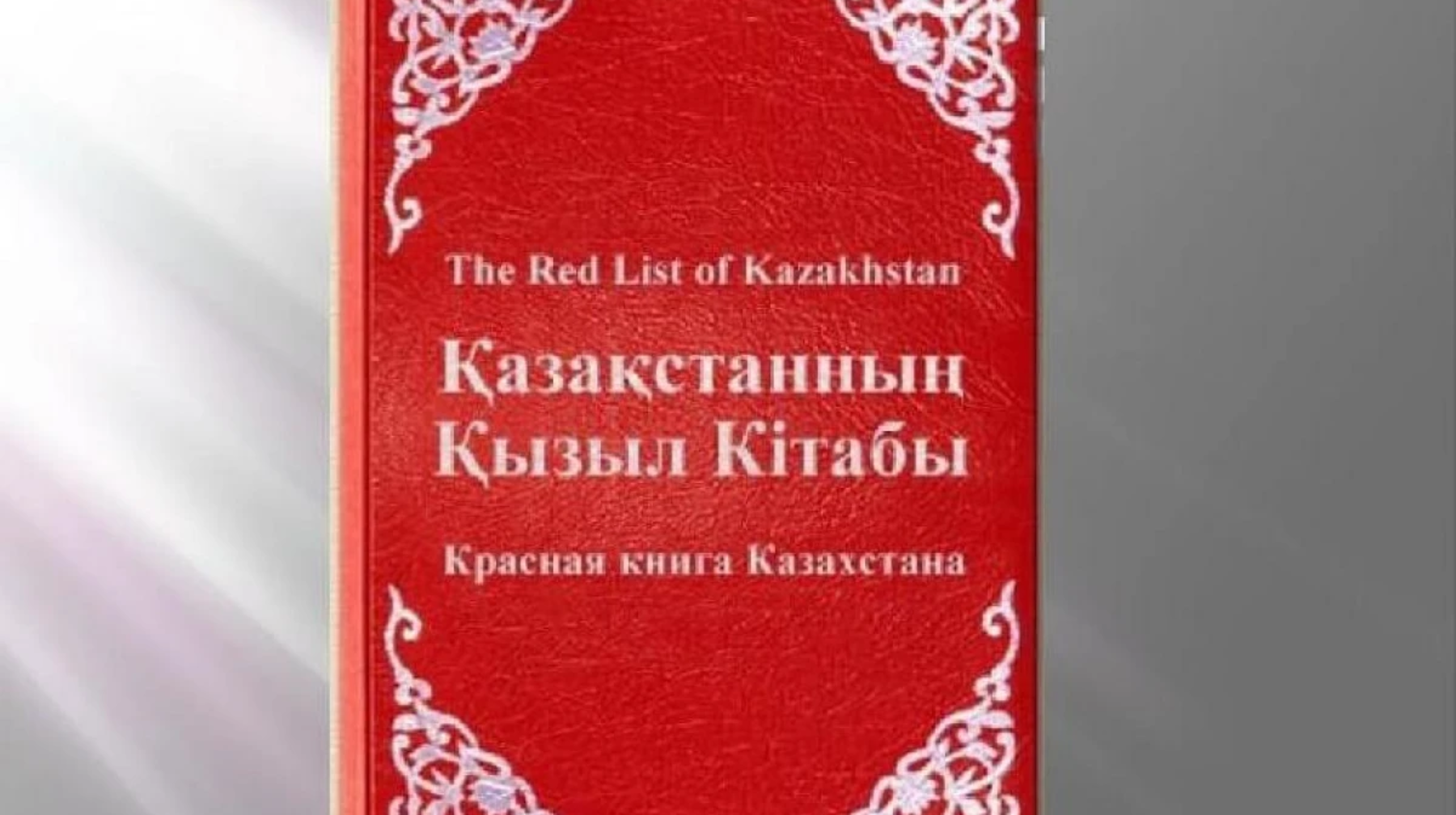 Елімізде жануарлардың Қызыл кітабы жаңартылады