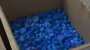 Алматылық оқушылар бір айда 1,2 млн пластик қақпақ жинады 