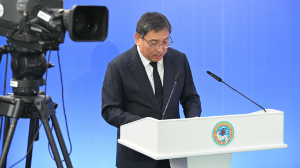 Жетісу ауданы: 2025 жылға арналған бюджеттің өсімі мен даму басымдықтары 